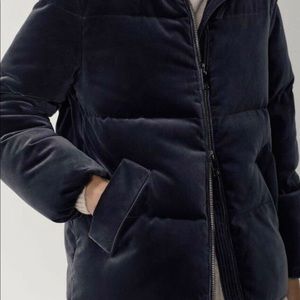 Massimo Dutti
